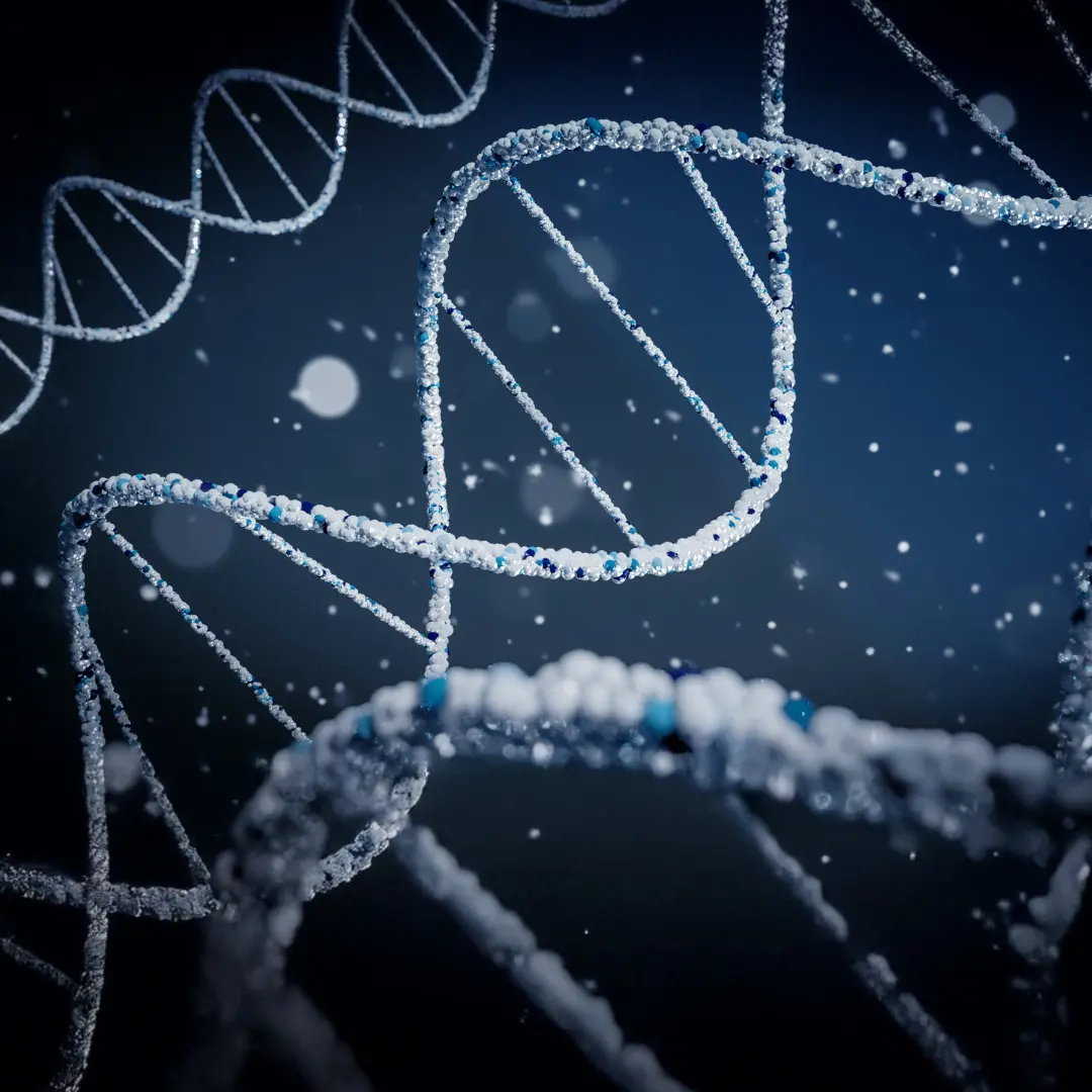 Detailed visualization of the DNA double helix structure, symbolizing advanced learning and molecular biology education through our online tuition platform.